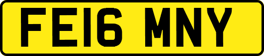 FE16MNY