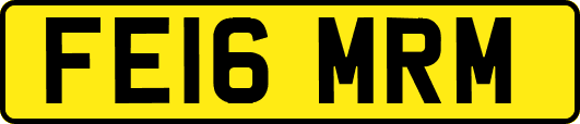 FE16MRM