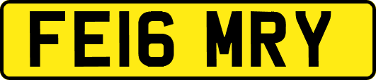 FE16MRY