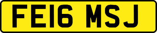 FE16MSJ