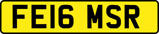 FE16MSR