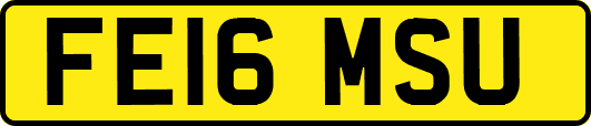 FE16MSU