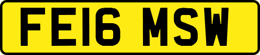 FE16MSW