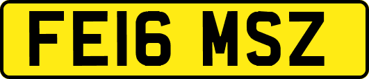 FE16MSZ