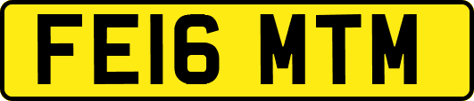 FE16MTM