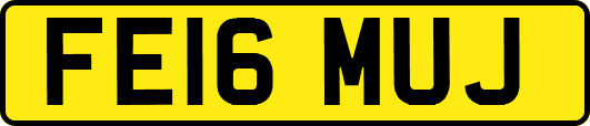 FE16MUJ
