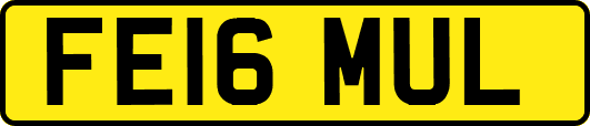 FE16MUL