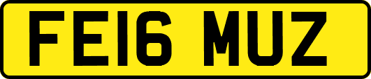 FE16MUZ