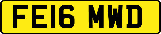 FE16MWD
