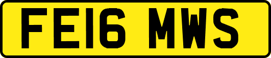 FE16MWS