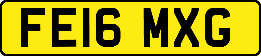 FE16MXG