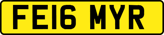 FE16MYR
