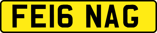 FE16NAG