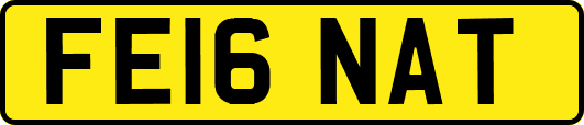 FE16NAT