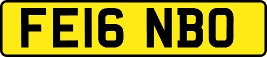 FE16NBO