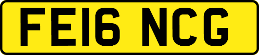 FE16NCG