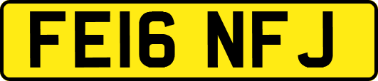 FE16NFJ