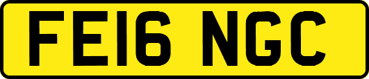 FE16NGC