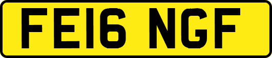 FE16NGF