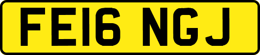 FE16NGJ