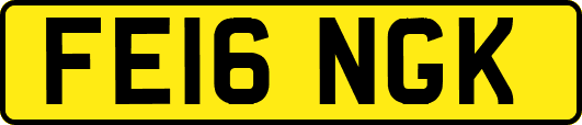 FE16NGK