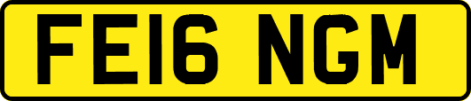 FE16NGM