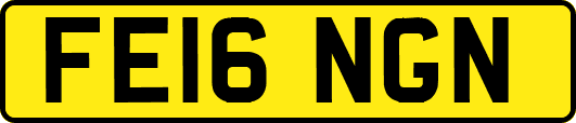 FE16NGN
