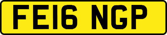 FE16NGP