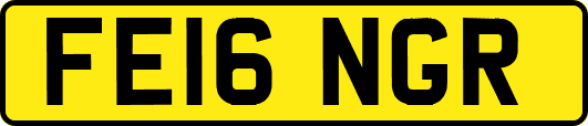 FE16NGR