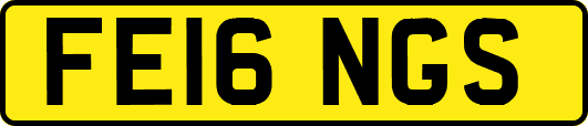 FE16NGS