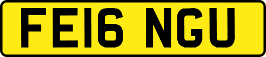 FE16NGU