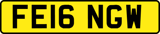 FE16NGW
