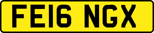 FE16NGX
