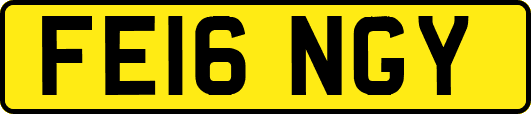 FE16NGY