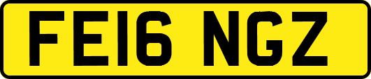 FE16NGZ