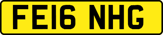 FE16NHG