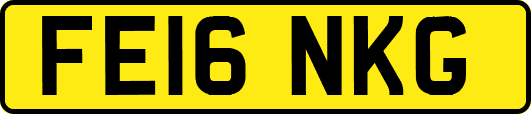 FE16NKG