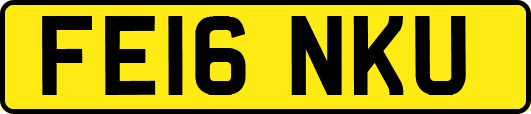FE16NKU