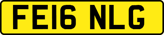FE16NLG
