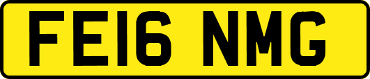FE16NMG