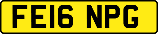 FE16NPG