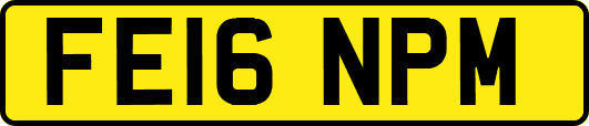 FE16NPM