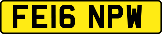 FE16NPW