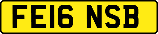 FE16NSB