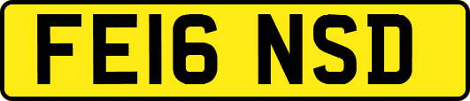 FE16NSD