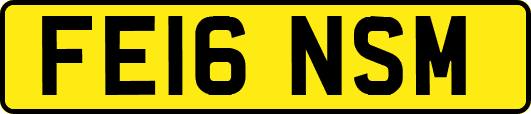 FE16NSM