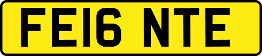 FE16NTE