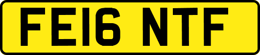 FE16NTF