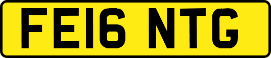 FE16NTG