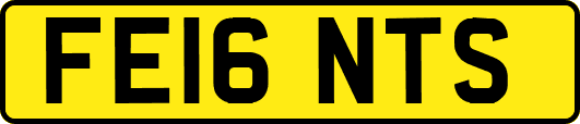 FE16NTS